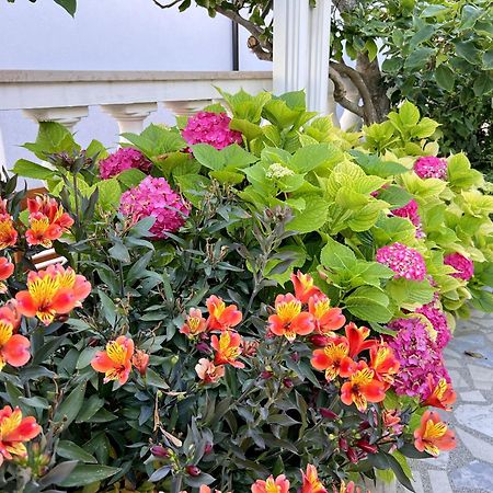Palit Bed & Breakfast Rab מראה חיצוני תמונה